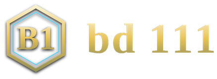 bd 111 logo